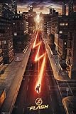 The Flash Poster 24 x 36in