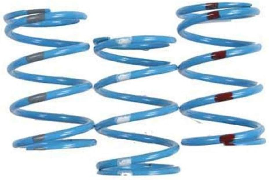 Team Yamaha Steel Primary Clutch Spring - Blue with Purple Stripes 210220-006