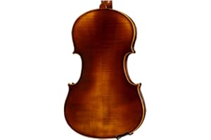 D Z Strad Viola Model 120 with Strings, Case, Bow, Shoulder Rest and Rosin (13" - Size)