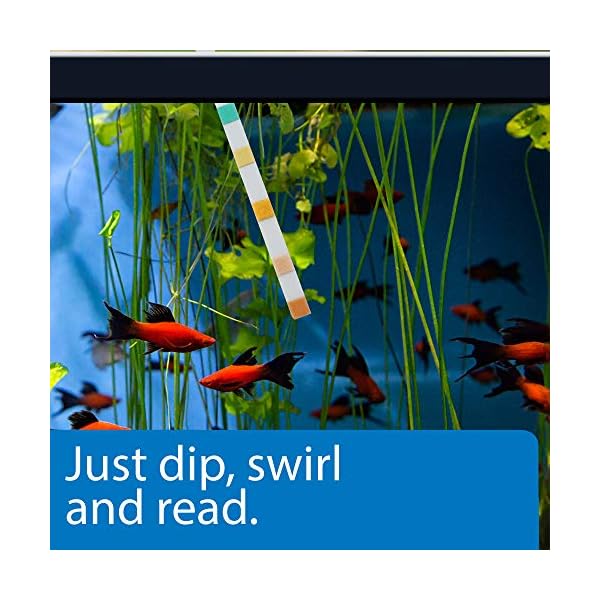 API 5-IN-1 TEST STRIPS Freshwater and Saltwater Aquarium Test Strips 4-Count Box