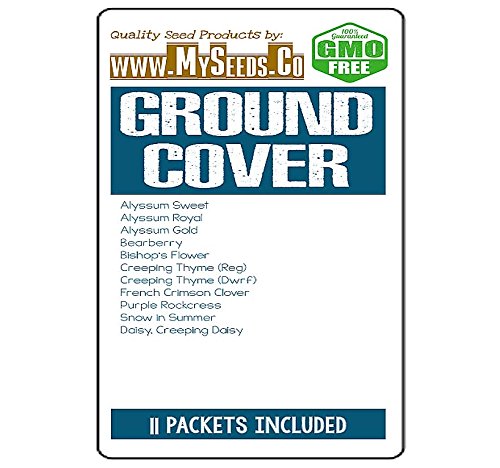 Ground Cover Seeds Combo Kit - from Alyssum Gold to Snow in Summer Seeds - by MySeeds.Co (Ground Covers Kit) - Thumbnail 3