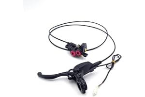 PROOTOM Rear Disc Brake Master Cylinder Caliper Pump Assembly Brake Lever Kit for SURRON Light-bee Off-Road Motorcycle (Rear Brake Pump Assembly Light-bee)