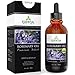 Rosemary Oil - Highest Quality 1 Ounce Bottle with Glass Dropper - Premium Select by Essential Oil Labs
