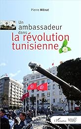 Un  ambassadeur dans la révolution tunisienne