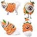 Legendog Dog Halloween Shirt, Pet Clothes, Cute Cat Dog Halloween Pumpkin Costumes, Dog Apparel, Halloween Costumes for Dogs, Creative Halloween Pumpkin Shirts for Dogs