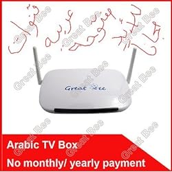 Great Bee HD Arabic IPTV box with 450+ channels,1080p, Wi-Fi, No monthly subscription, No lag no Buffer