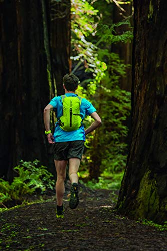 CamelBak Octane Dart Crux Reservoir Hydration Pack, Lime Punch/Black, 1.5 L/50 oz CamelBak Octane Dart Crux Reservoir Hydration Pack, Lime Punch/Black, 1.5 L/50 oz
