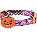 Blueberry Pet 2019 New 8 Patterns Halloween Pumpkin Party Designer Adjustable Dog Collar with Detachable Decoration, Large, Neck 18″-26″thumb 1