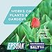Epsoak USP Epsom Salt 38 lbs. – (Qty 2 x 19 lb. Resealable Bulk Bags)thumb 4