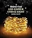 Tronixtar Flexible Copper Wire 200 LED String Lights with Remote, 11 Brightness Modes and Timer, 66-Feet, White Warm