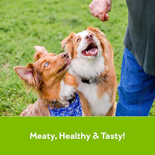 Buddy Biscuits Mini Jerky, Made in USA, Premium Dog Treats, Natural Chicken & Sweet Potato 4oz