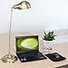 Haitral HT-TL619BR Desk Lamp Adjustable Flexible Arm Metal Basic