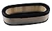 Podoy 394019 Air Filter for Briggs & Stratton Lawn Mower 272490S 394019S 398825 24150 4136 AM38990 24150