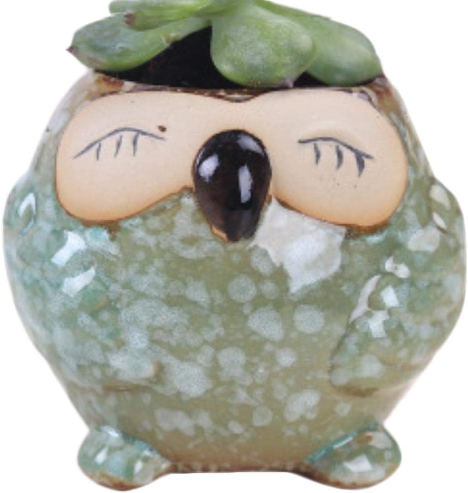 Noete Succulent Plant Owl-shape Cactus Pot Small Indoor Planter Flower Pot Small Plants Container Gift Present Decoration Ornament for Home Office Balcony Garden-Red Blue Green White Brown Yellow