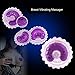 Nipple Breasts Stimulator Electric Vibrator for Women Breast Enhancement Massager Sex Toys Female Nipple Cover Sucker Clip,Female Masturbation Breast Enlarge Massager,1 Pair