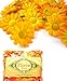 (100) Silk Yellow Orange Gerbera Daisy Flower Heads , Gerber Daisies - 1.75