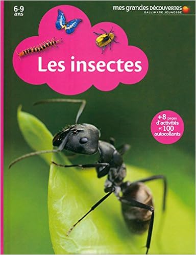 insectes-blanchard-bellanger