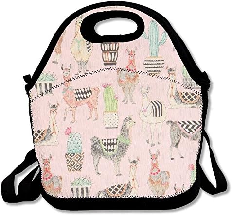 Insulated Lunch Box Tote Bag Llama Cactus Desert Pattern Picnic Bag Lunch Bag For Men Women Kids School, Travel &amp; Diet Management