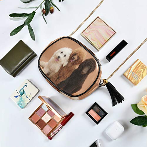 Three-Cute-Dogs-Women-Chain-Messenger-Bag-Crossbody-Purses-for-Girl