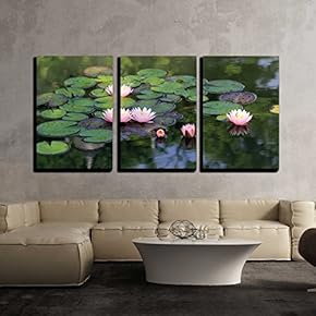 3 Piece Canvas Wall Art - Beautiful Lotus Flower in The Pond - Modern Home Art Stretched and Framed Ready to Hang - 16"x24"x3 Panels