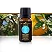 Sweet Orange Essential Oil - 100% Pure, For Professional Aromatherapists (for Home Use, see Warnings) 15 ml