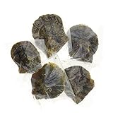 Nameo 5 Pcs Akoya Oysters with Round Cultured Pearls Inside (7-8mm)