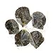 Nameo 5 Pcs Akoya Oysters with Round Cultured Pearls Inside (7-8mm)