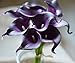 FRP Flowers 20 PCS Real Touch Calla Lily Flowers for Artificial Floral Arrangements, Bridal Bouquets, and Home Decor (Regal Purple)