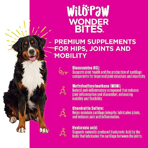 WildPaw WonderBites for Hips, Joints, & Mobility 90 Soft Chews