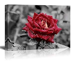Canvas Prints Wall Art - Red Rose on Grey | Modern Wall Decor/Home Decoration Stretched Gallery Canvas Wrap Giclee Print. Ready to Hang - 12" x 18"