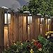 Paradise Solar 4 LED Accent Lights 10 Lumens Cast-Aluminum Outdoor Decor
