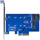 Best Compute M.2 PCIe SSD to PCIe 3.0 x4 and M.2 SATA SSD to SATA III Adapter Card
