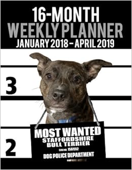 wanted staffordshire bull terrier