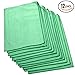 The Rag Company - Standard Microfiber Window, Glass, Mirror & Chrome Towels - Professional Cleaning & Detailing, Lint-Free, Streak-Free, 350gsm, 16in x 24in, Green (12-Pack)