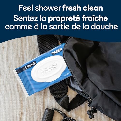 Cottonelle Fresh Care On-The-Go Flushable Wet Wipes, Adult Wet Wipes, 24 On-The-Go Packs, 2 Trays of 12, 14 Wipes per Pack (336 Total Flushable Wipes), Packaging May Vary
