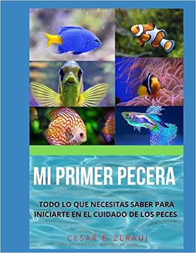 TEXTO ALTERNATIVO