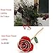ABEDOE Long Stem 24k Gold Rose Flower in Box, Best Romantic Gift for Anniversary, Thanks Giving Day, Valentine’s Day, Mother's Day, Birthday Gift (Red)