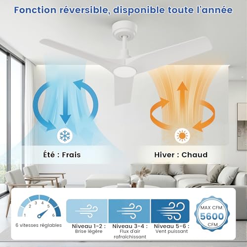 AUTODAY Ceiling Fan With Led Light, 18W Dimmable, Silent DC Motor 32W, 106Cm, ABS Blades, Memory Remote, 6 Speed, White