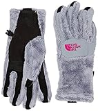 The North Face Denali Thermal Etip Glove Womens Mid Grey/Luminous Pink M