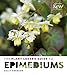 The Plant Lover's Guide to Epimediums