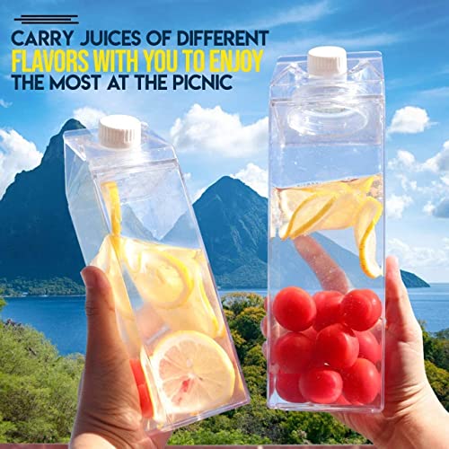 LUXVENESE 500 ml Milk Carton Water Bottles Reusable Milk Carton BPA