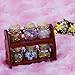 Glass Spice Pot Bottle Jars Rack 1/12 Miniature Dollhouse Kitchen Accessory