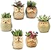 6pcs Owl Pot 2.5 Inch Ceramic Flowing Glaze Base Serial Set Succulent Plant  Cactus  Flower Pot Container Planter Small Bonsai Mini Pots With A Hole  Gife Idea
