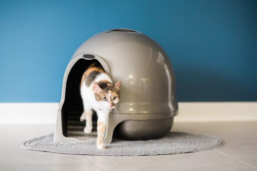 Petmate Booda Dome Clean Step Cat Litter Box 3 Colors, Brushed Nickel: Pet Supplies