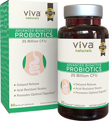 Viva Naturals ADVANCED Probiotics, 60 Caps, 25 Billion CFU, BioXtend Technology for Targeted Release and Increased Absorption