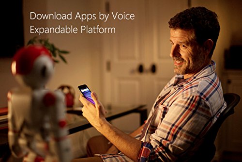 alpha 2 the first humanoid robot for the family