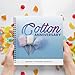 Two Years of Love, 2nd Wedding Anniversary Gift Album. 2 Years Together 2016-2018 Cotton Anniversary Celebration. Newlyweds Sweet Love Keepsake Book and Photo-Album Present for Him or Her.