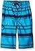Kanu Surf Boys' Haze Stripe Swim Trunk