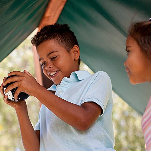 6 Magic+Decision+Making+Fortune+Telling