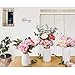 Nilos White Ceramic Vases Set of 3, Table Centerpieces Vase with Rope Design and Differing Unique Shapes for Flowers, Home Decoration